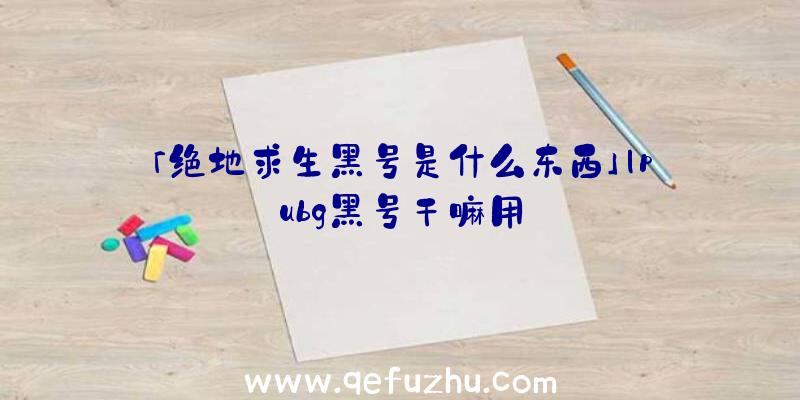 「绝地求生黑号是什么东西」|pubg黑号干嘛用